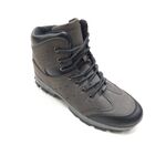 Μποτάκι Ορειβασίας