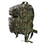 Σακίδιο Πλάτυς 30Ltr